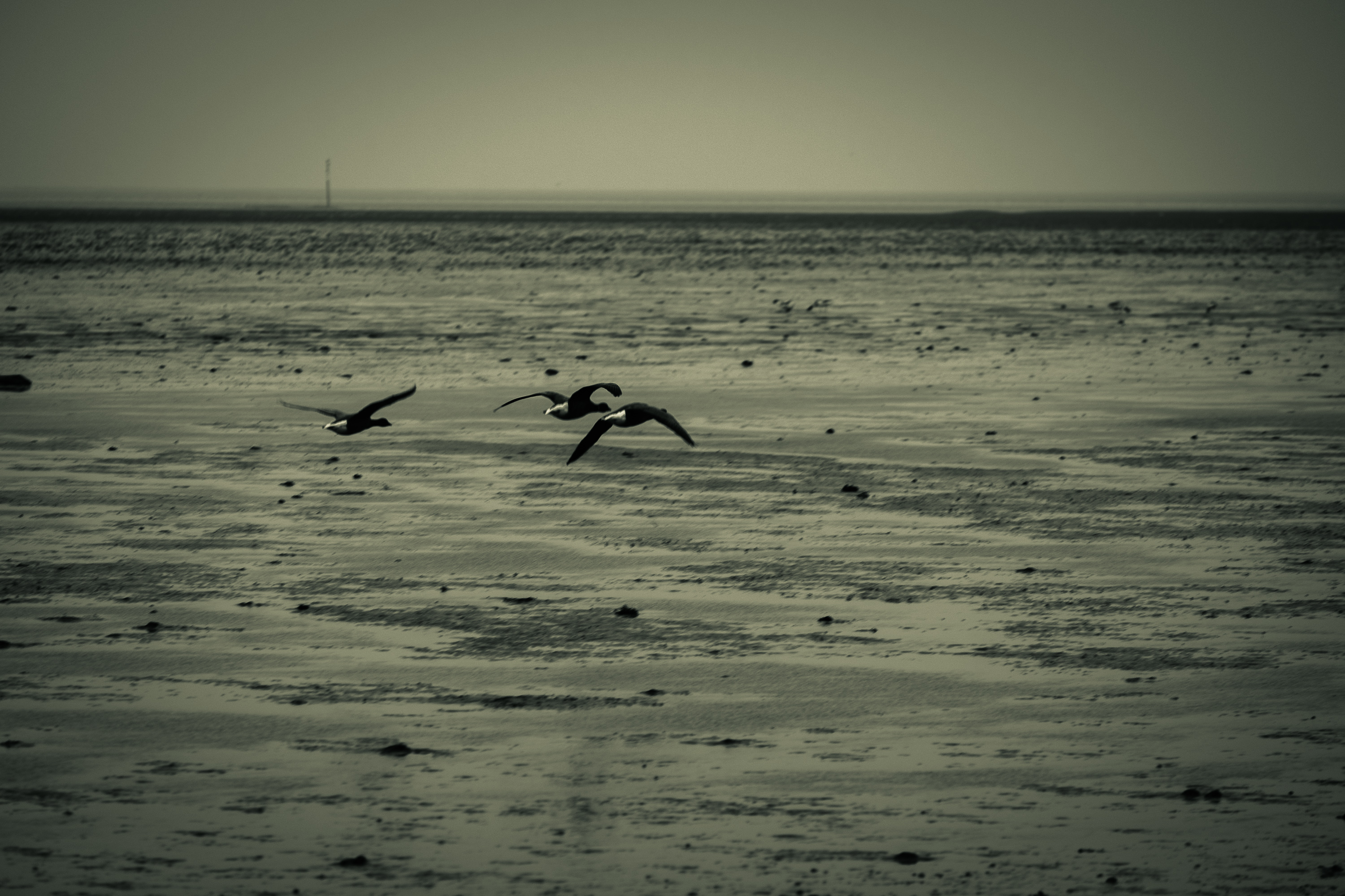 Braderuper Heide Sylt